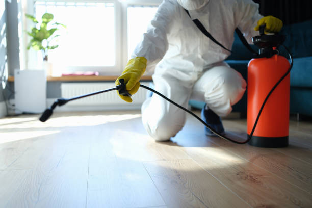 Reliable Odor Removal contractor in Hutto, TX by Trauma Clean Pros